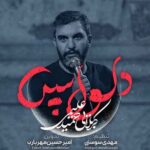 دانلود نماهنگ مداحی تو خیلی وقته زندگیمی حمید علیمی دانلود نماهنگ مداحی تو خیلی وقته زندگیمی حمید علیمی