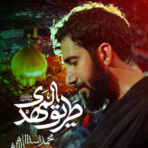 دانلود نماهنگ طریق المهدی محمد اسداللهی
