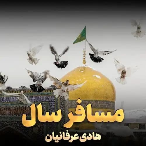 دانلود مداحی امام رضا ای کاش من کبوترت باشم هادی عرفانیان