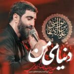دانلود نماهنگ دنیای من سید رضا نریمانی