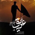 دانلود نماهنگ غریق مهدی رعنایی