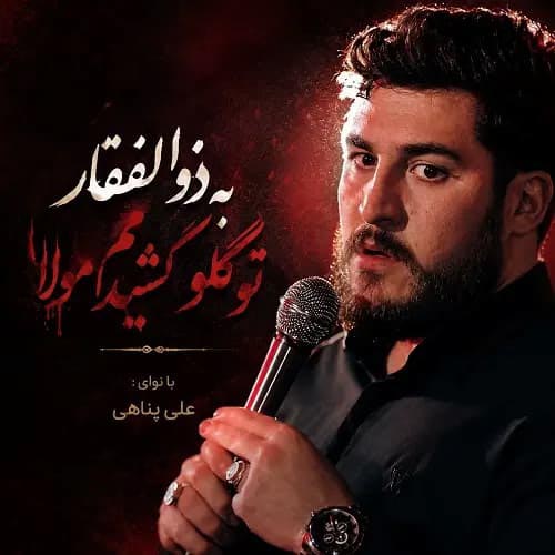 دانلود مداحی به ذوالفقار تو گلو کشیدم مولا علی پناهی