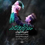 دانلود نماهنگ مادر های شیر خواره دار علی زمانیان