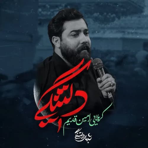 دانلود مداحی دلتنگی امین قدیم