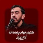 دانلود نماهنگ ایران خداقوت مهدی رسولی و محمد اسداللهی