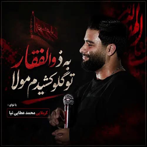 دانلود مداحی به ذوالفقار تو گلو کشیدم مولا محمد عطایی نیا
