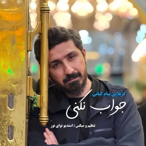 دانلود نماهنگ جواب نکنی پیام کیانی