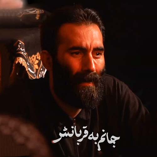 دانلود نماهنگ غریب بی محلی ها مهرداد ملکی