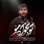 دانلود نماهنگ تو بخواه منو علیرضا طاهری