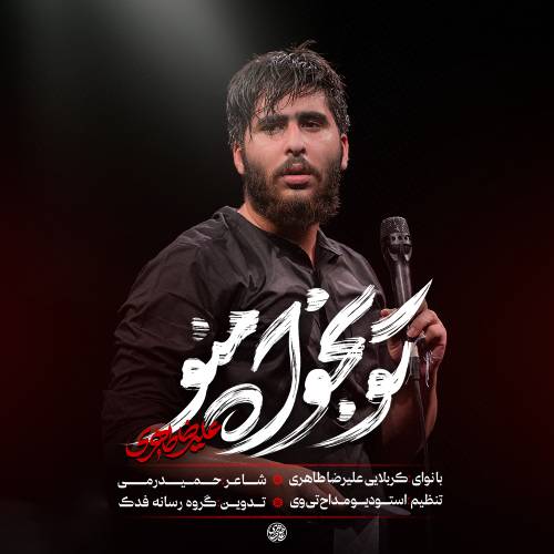دانلود نماهنگ تو بخواه منو علیرضا طاهری